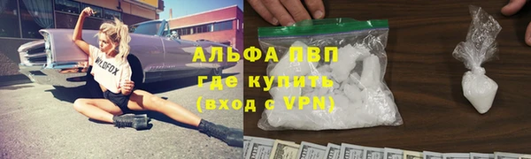 индика Абинск